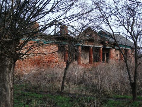 tubarozsa_foepulet.jpg